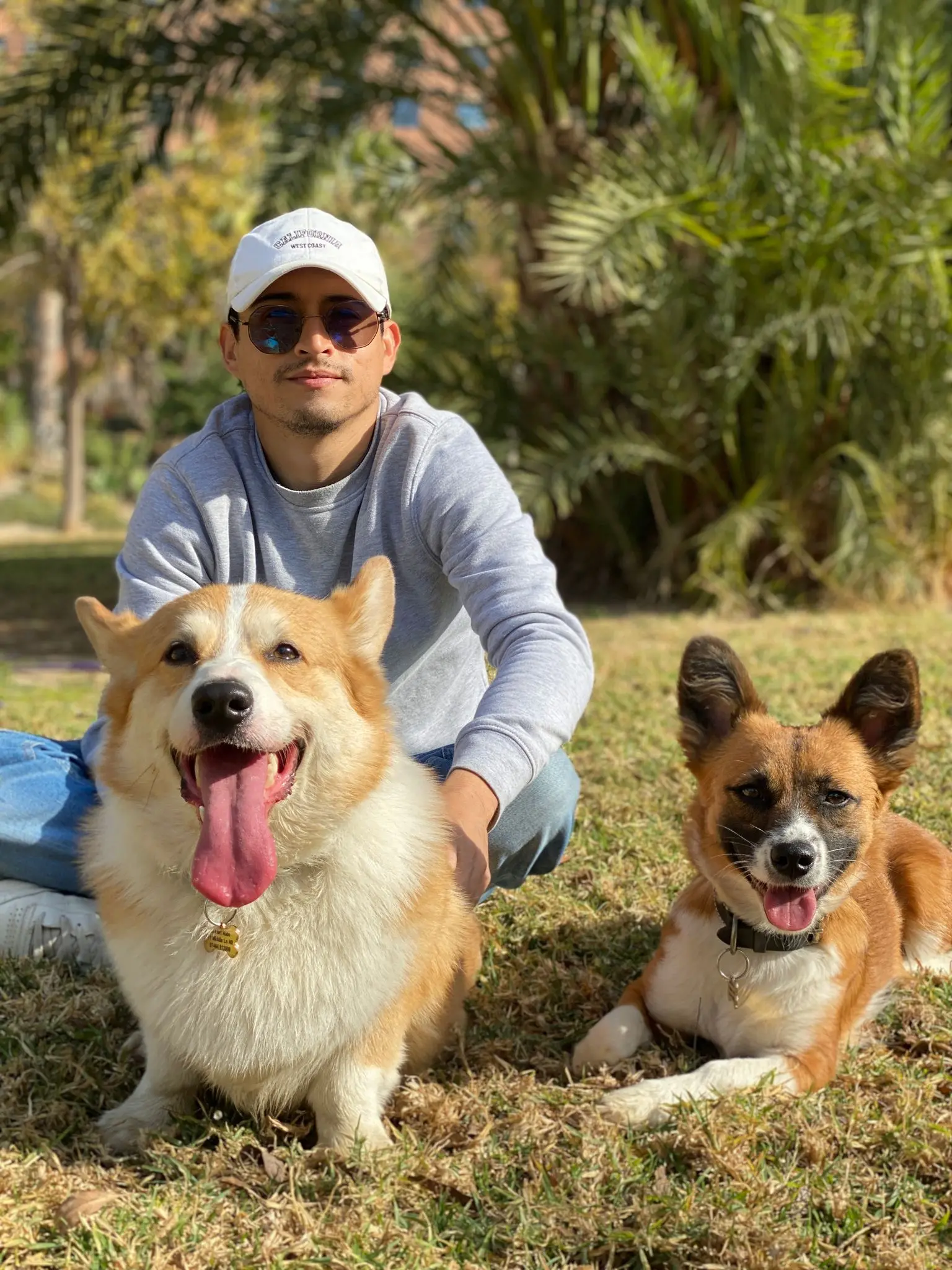 Cuidador de Minagodogs con dos perros felices en un parque soleado